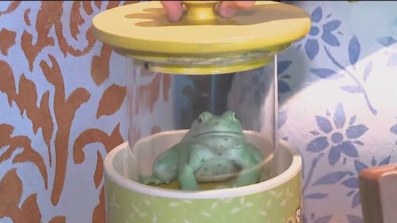 Storyland exhibit: deliver a TV