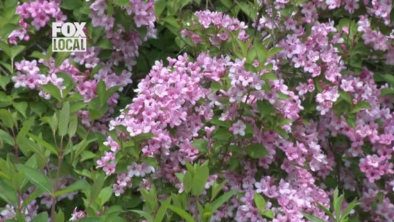 FOX6 Daily News Update | evening of June 11, 2025