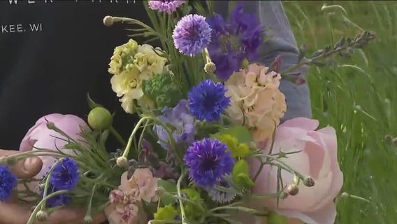 What?s blooming now?