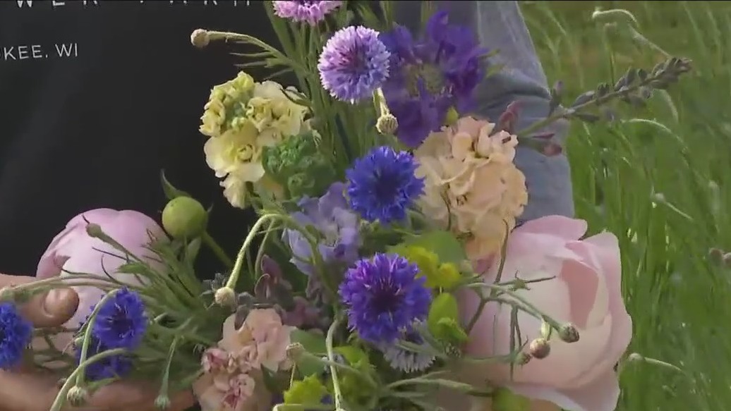 What?s blooming now?