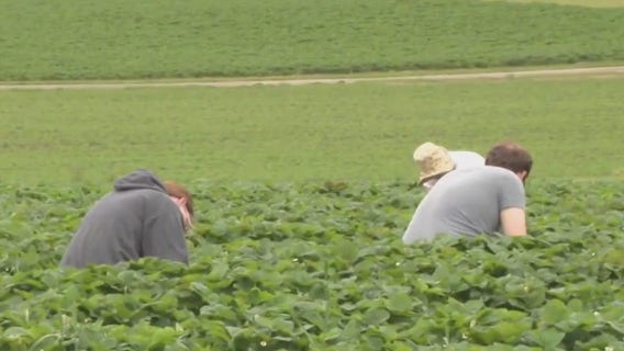 A look at all the fun