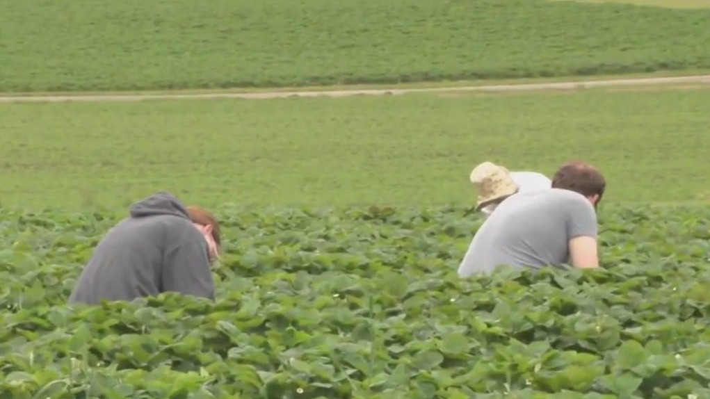 A look at all the fun