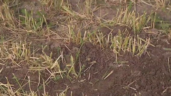 Focus on sustainability, soil health