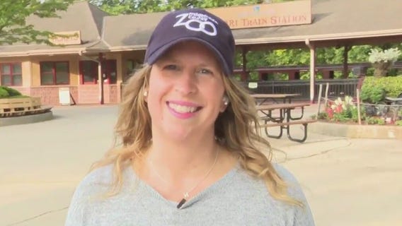 Father's Day at the Zoo