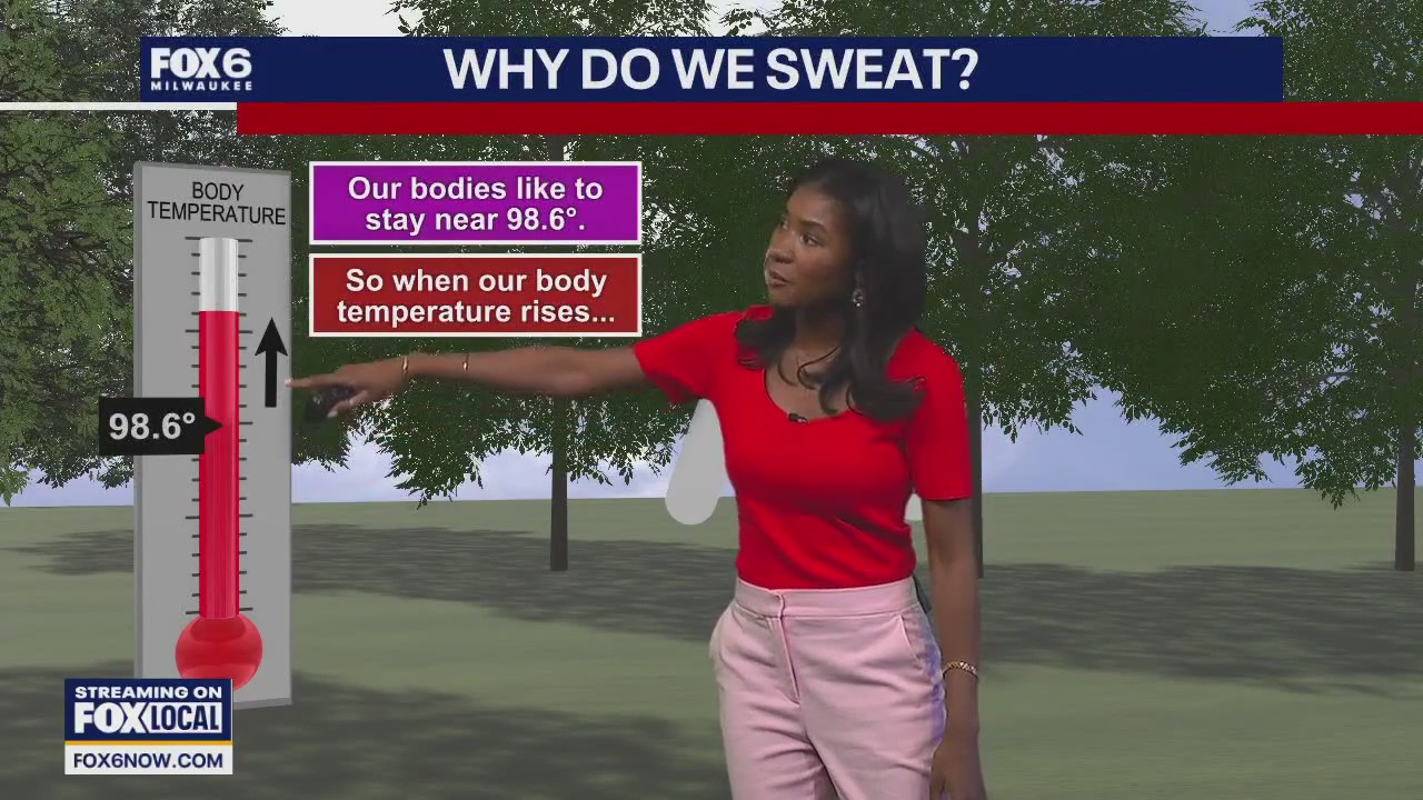 Wisconsin Weather Experts | June 17, 2025