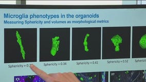 Feds push animal testing alternatives