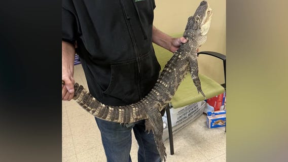 FOX6 Daily News Update | evening of June 23, 2025