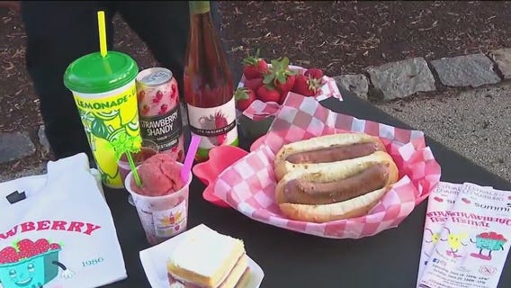 32nd annual Strawberry Festival