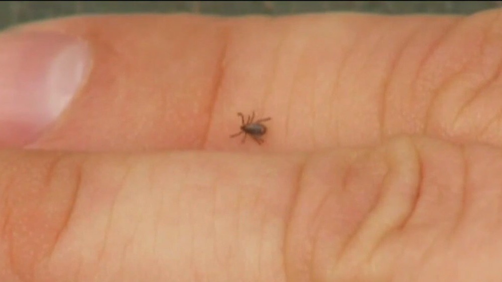 Tick-borne Powassan virus warning