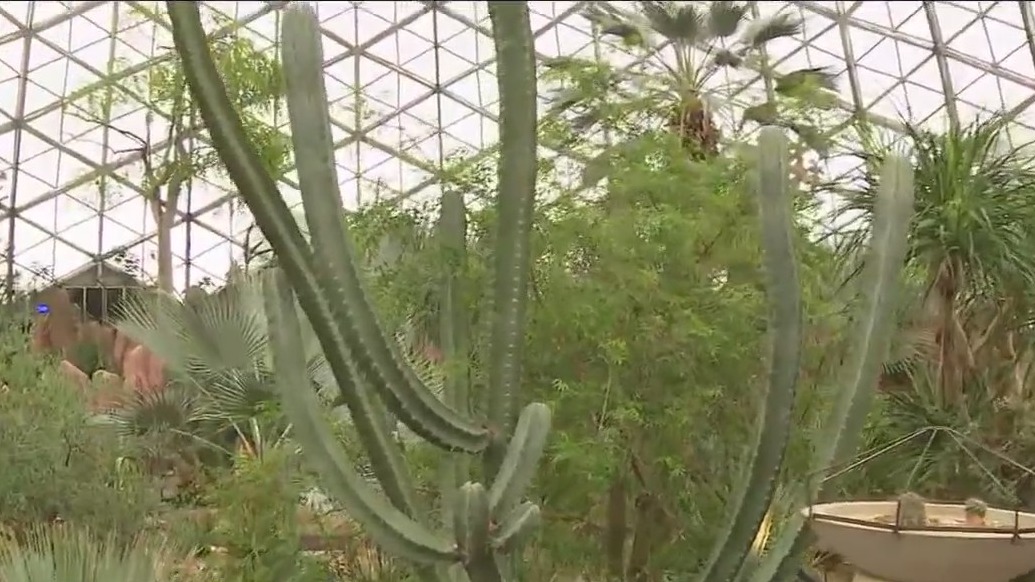 Checking out the Desert Dome