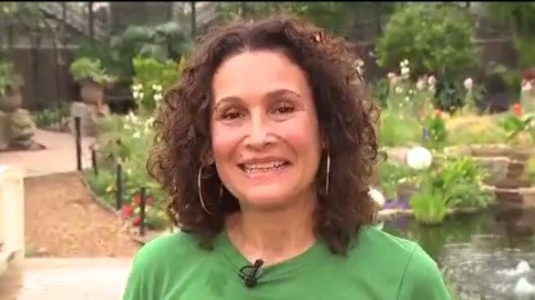 Kinetic Garden at the Mitchell Park Domes