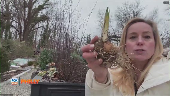 Tuesdays with Toni | FOX Weather Philly