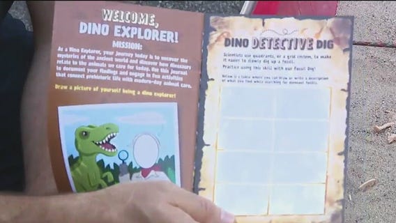 'Roar & Explore' this summer