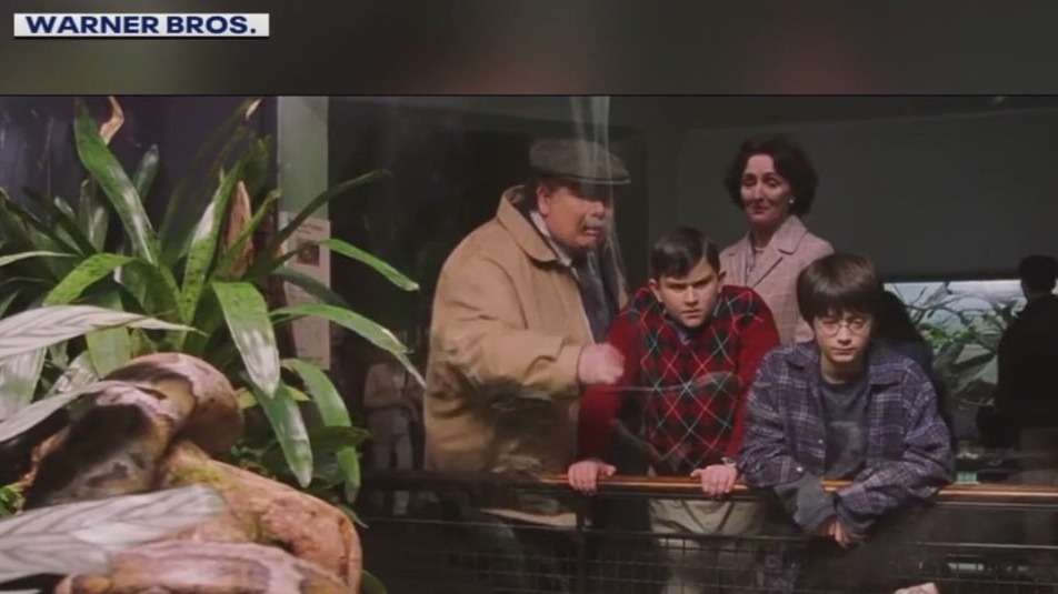 HBO's 'Harry Potter' TV series