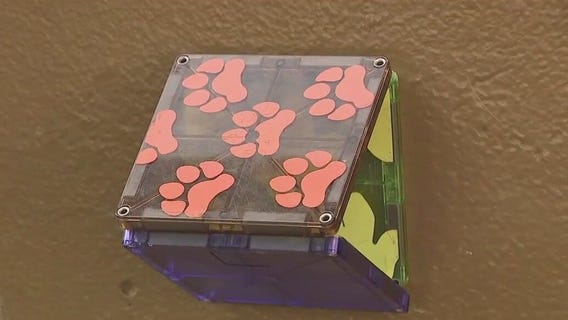 Lulu and Rocky Tour ? Iron Block Building