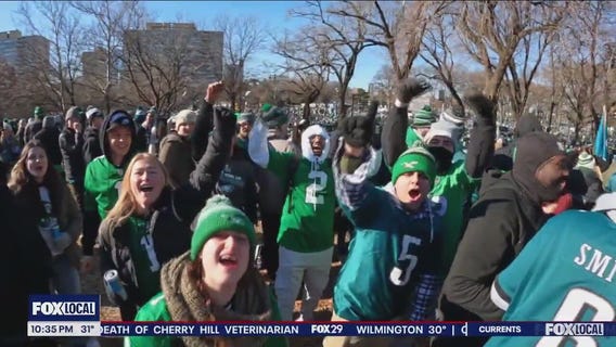 Eagles' fans as far as the eye can see celebrating the Birds Super Bowl win