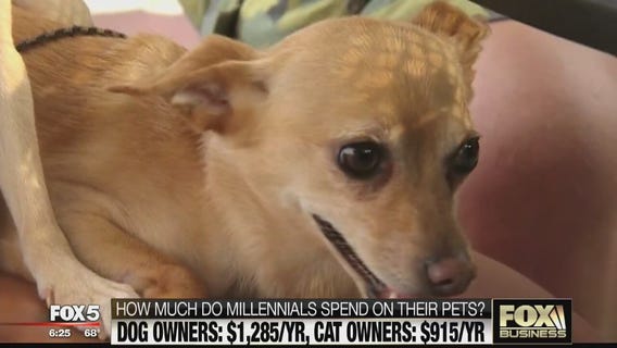 FOX Business Beat: Millennials Spend Big On Pets; Instagram Adds Mute Button
