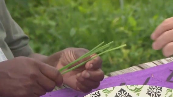 Fresh food, yoga, and herbal remedies