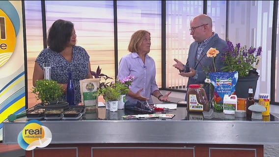 Summer lawn & garden care