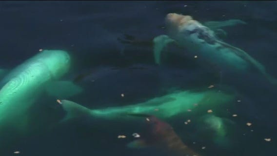 Checking in at Boerner Botanical Gardens