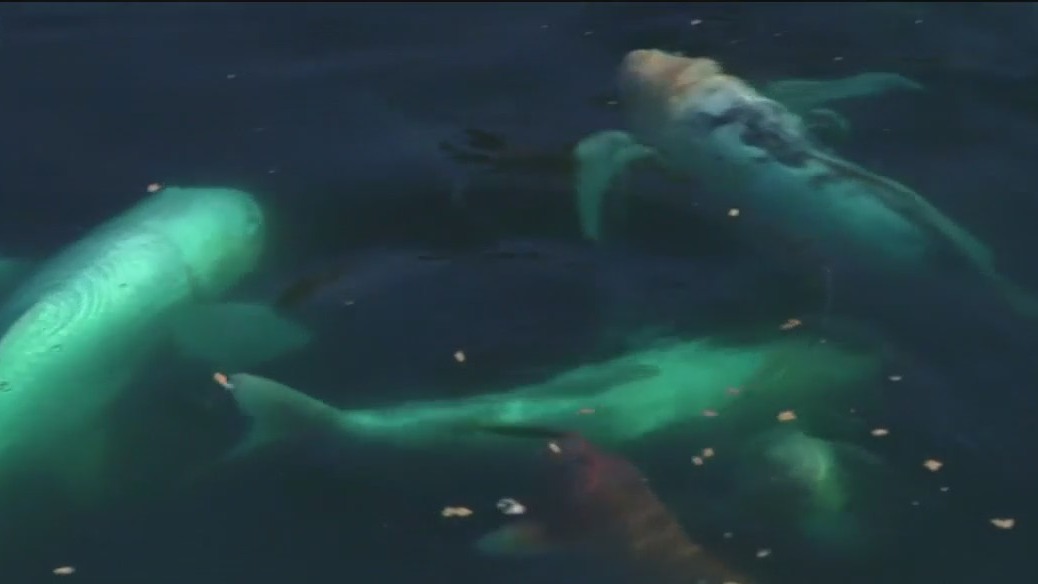 Checking in at Boerner Botanical Gardens