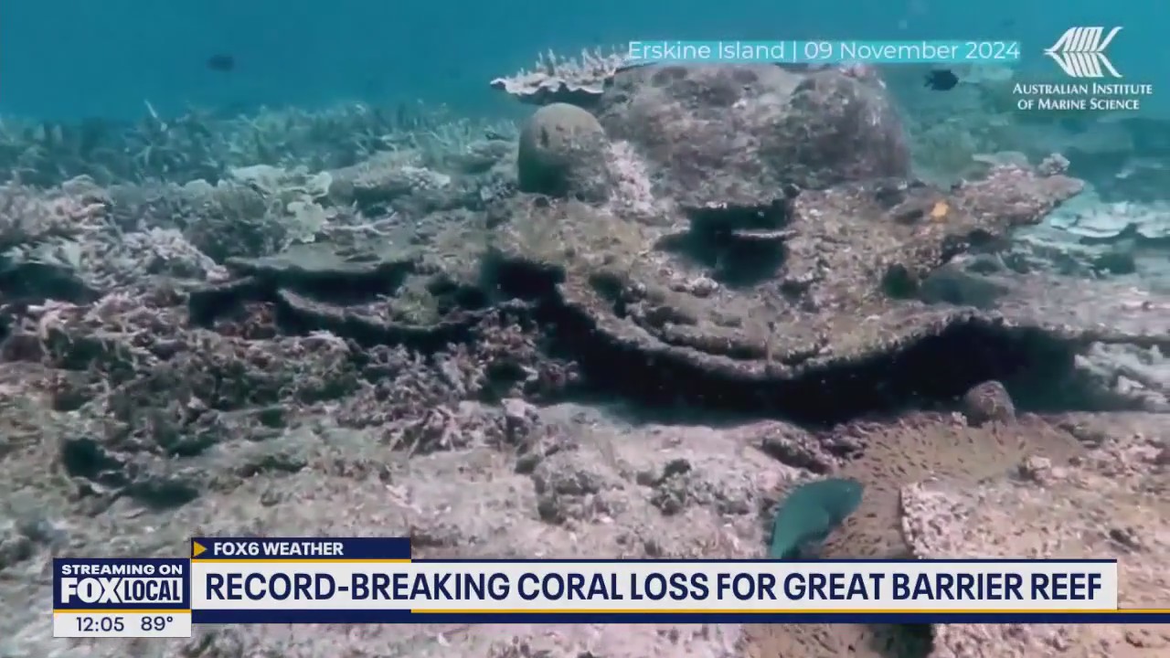 Wisconsin Weather Experts | Aug. 8, 2025