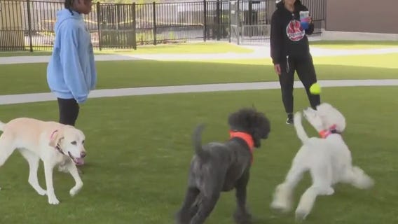 Downtown Employee Appreciation