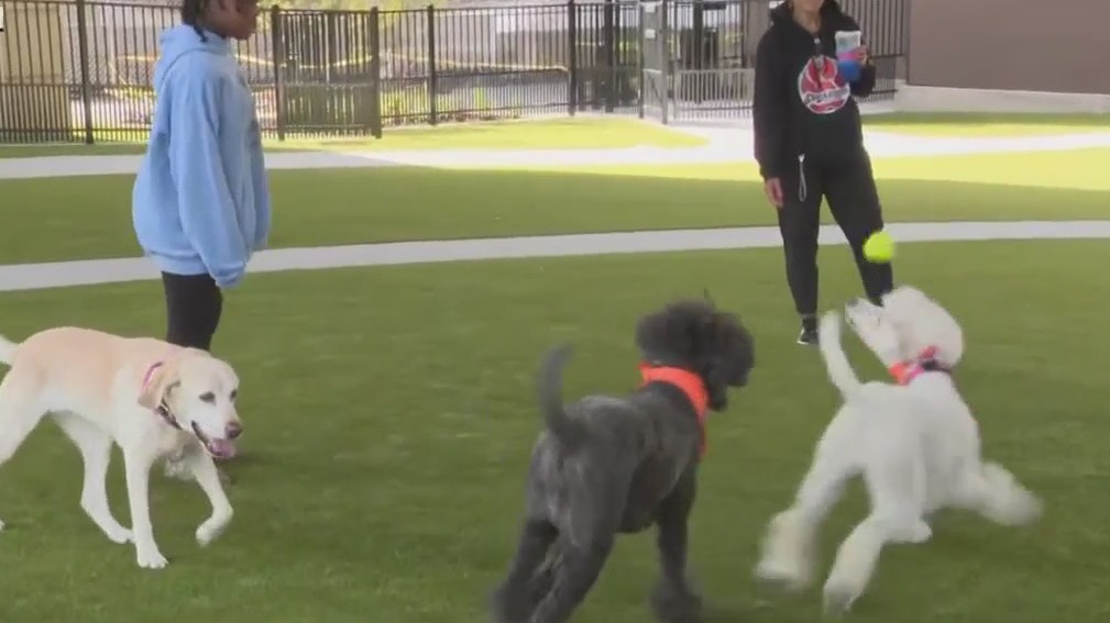 Downtown Employee Appreciation