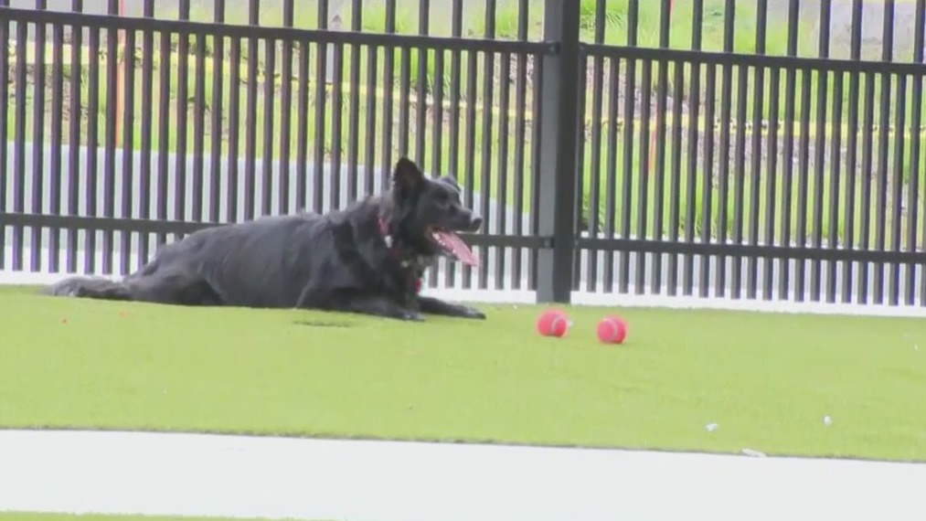 Downtown Milwaukee dog park