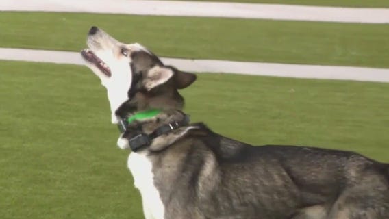 Grand Opening event plan