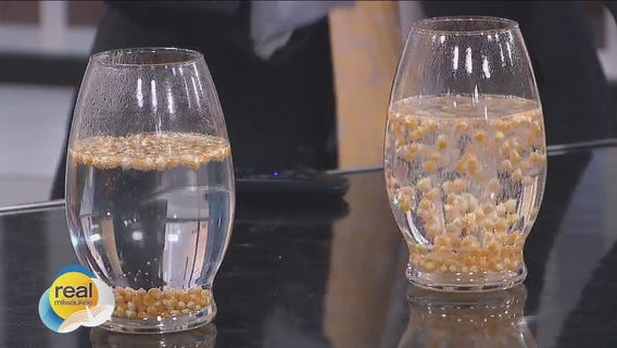 @ Home Experiments with Club SciKidz