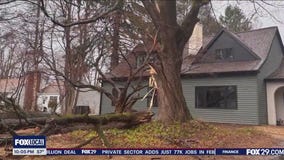Storms ravage Delaware County, toppling trees, taking out power