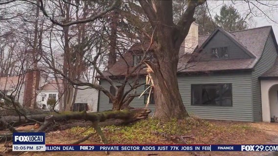 Storms ravage Delaware County, toppling trees, taking out power