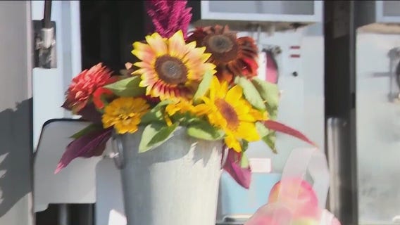 Hangout spots and food trucks