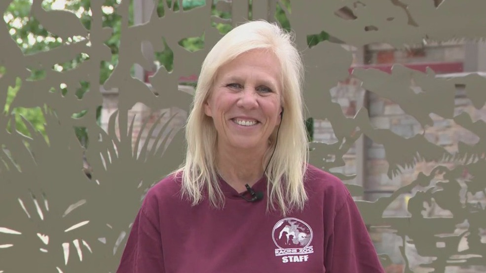 What to do at the Racine Zoo