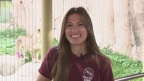 Checking out the animals at the Racine Zoo