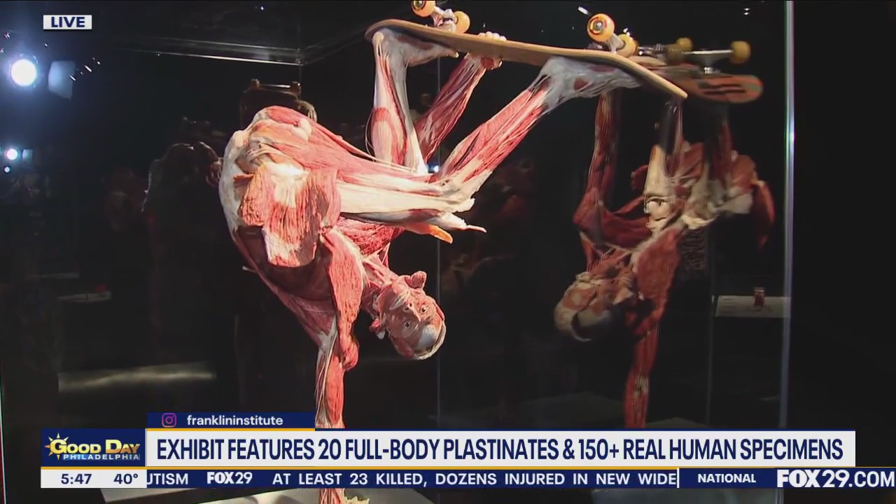 The Franklin Institute: Body Worlds