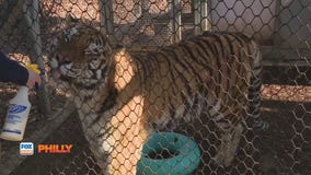 Philadelphia Zoo | FOX Weather Philly