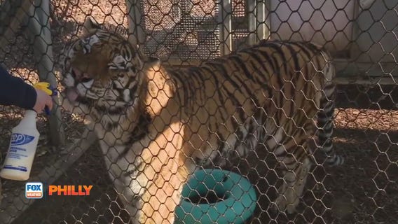 Philadelphia Zoo | FOX Weather Philly