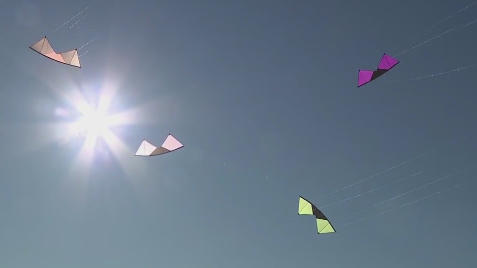 What to do at the IKEA Frank Mots Int'l Kite Festival