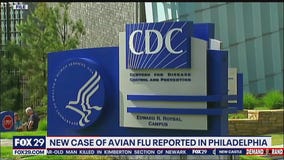 New case of bird flu detected in Philadelphia