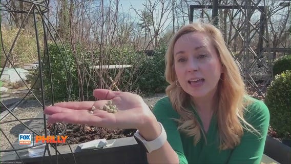Tuesdays with Toni | Gardening tips for early spring