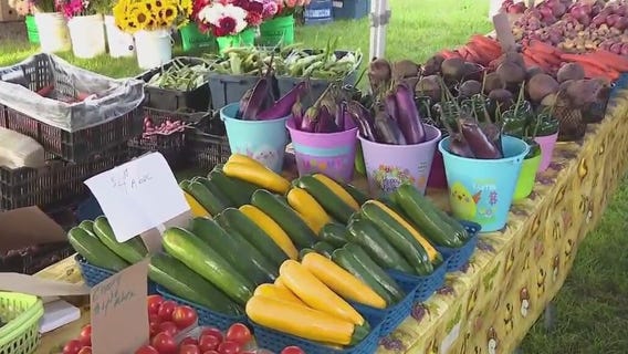 Wet, hot summer impact on growing season