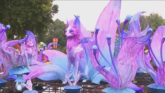 New Magical Forest theme