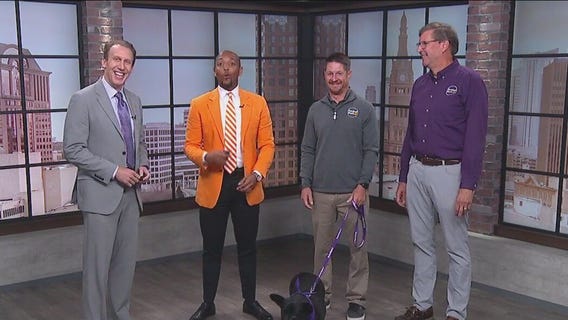 Central Bark Movie Nights