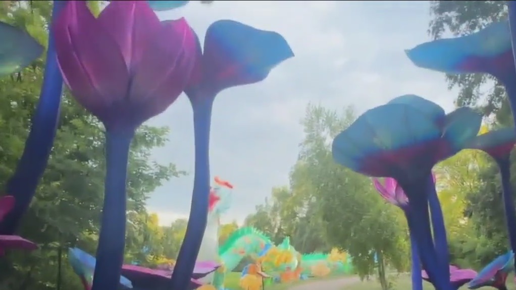 improvements in the garden