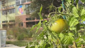 Milwaukee Food Council hosts Food Justice Summit