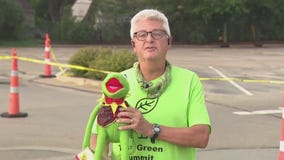 It's easy being green, just ask Kermit