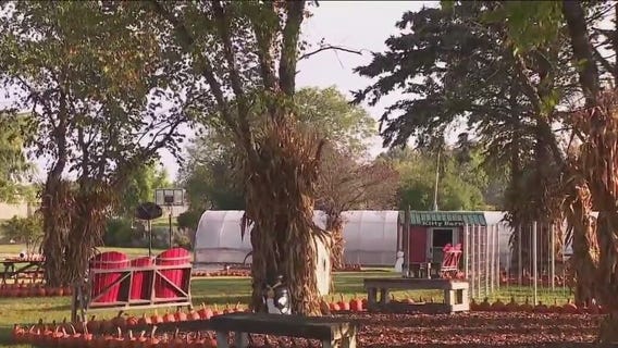 Family fun at Jerry Smith Pumpkin Farm