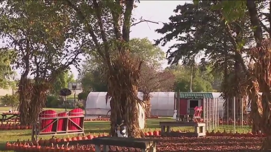 Family fun at Jerry Smith Pumpkin Farm